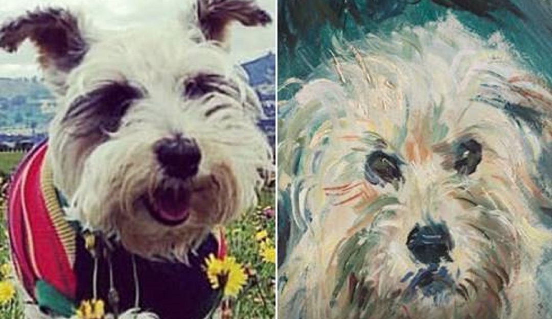 Funciones en Google Art Funciones en Google Art