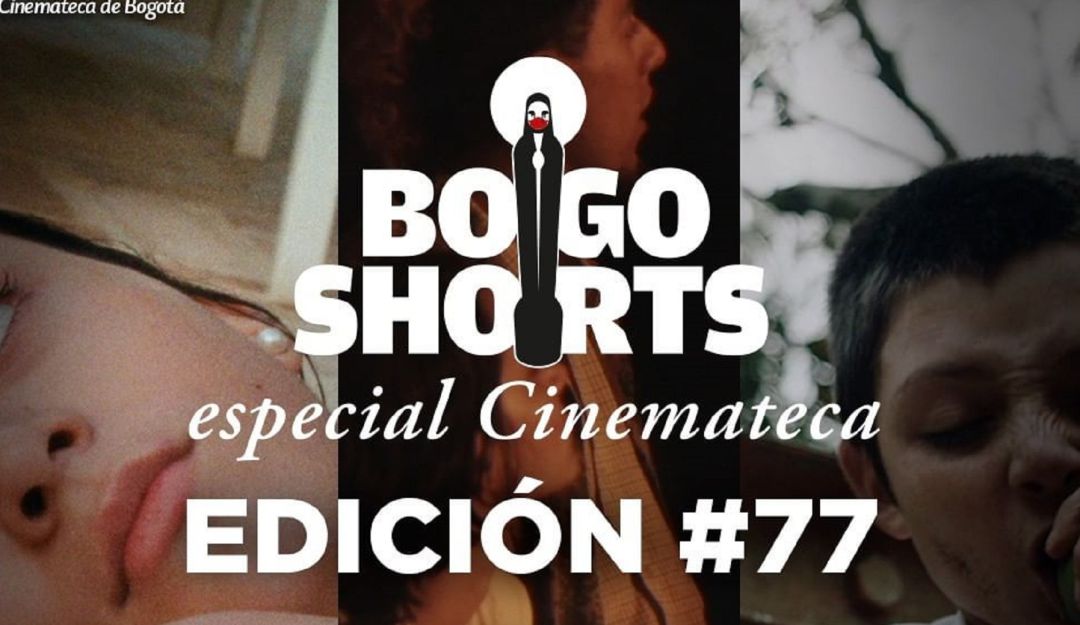 BogoShorts BogoShorts