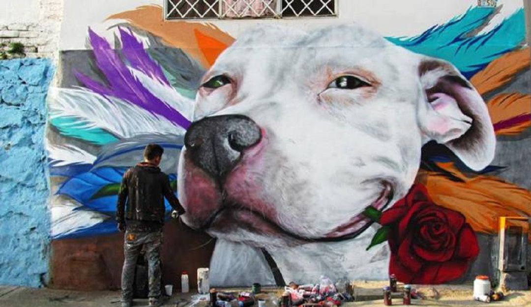Cali vive el arte desde "El Festival Graficalia 2018" Cali vive el arte desde "El Festival Graficalia 2018"