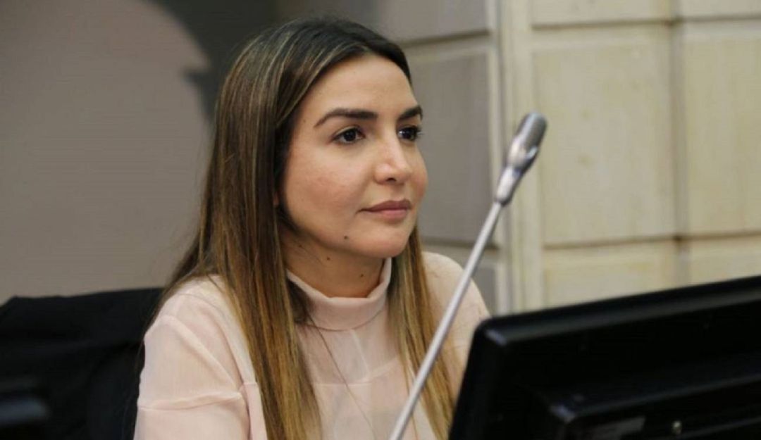 La iniciativa de la senadora Nadia Blel pasó a sanción presidencial La iniciativa de la senadora Nadia Blel pasó a sanción presidencial