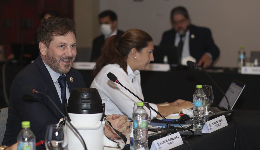Alejandro Domínguez, presidente de la Conmebol Alejandro Domínguez, presidente de la Conmebol