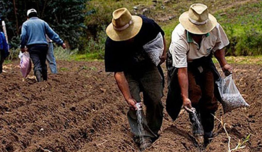 Precios de insumos agrícolas tiene en ‘jaque’ a campesinos del Huila. Precios de insumos agrícolas tiene en ‘jaque’ a campesinos del Huila.