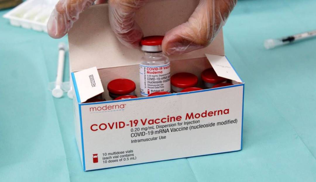 Vacuna contra el coronavirus de la farmacéutica Moderna. Foto: Getty Vacuna contra el coronavirus de la farmacéutica Moderna. Foto: Getty