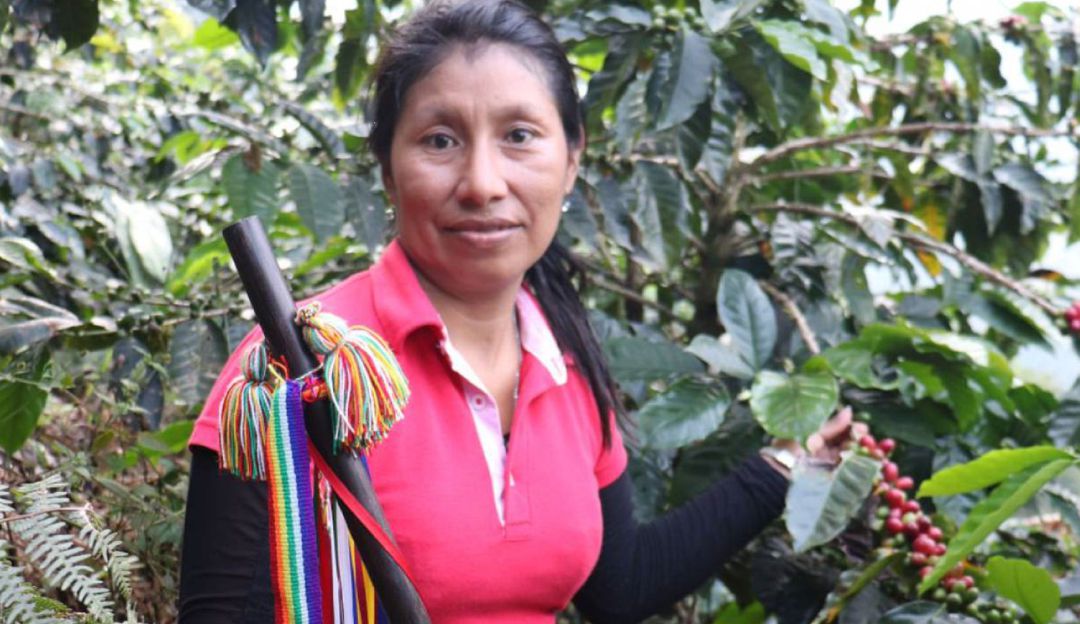 Listo proyecto agropecuario para indígenas del Huila. Listo proyecto agropecuario para indígenas del Huila.