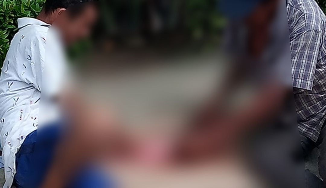 Casos de maltrato animal en Santa Marta: En Santa Marta denuncian el consumo de carne de gatos Casos de maltrato animal en Santa Marta: En Santa Marta denuncian el consumo de carne de gatos