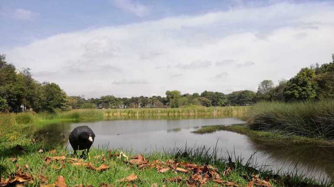 Se presentó caso de homofobia en el humedal Santa María del Lago, Bogotá