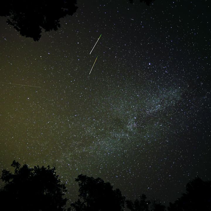 Lluvia de estrellas este 2 de diciembre: así se podrá ver este fenómeno