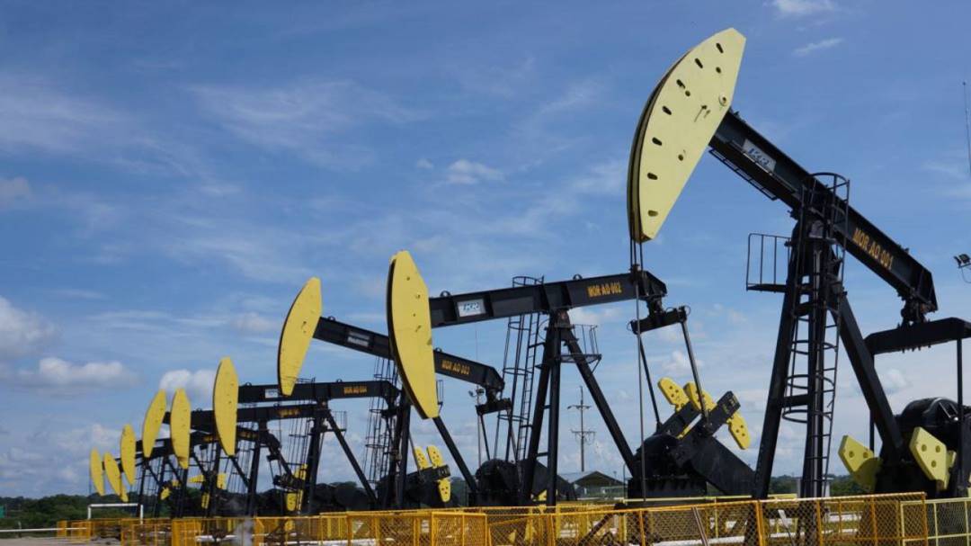 OPEP+ mantendrá producción petrolera pese a cepa ómicron