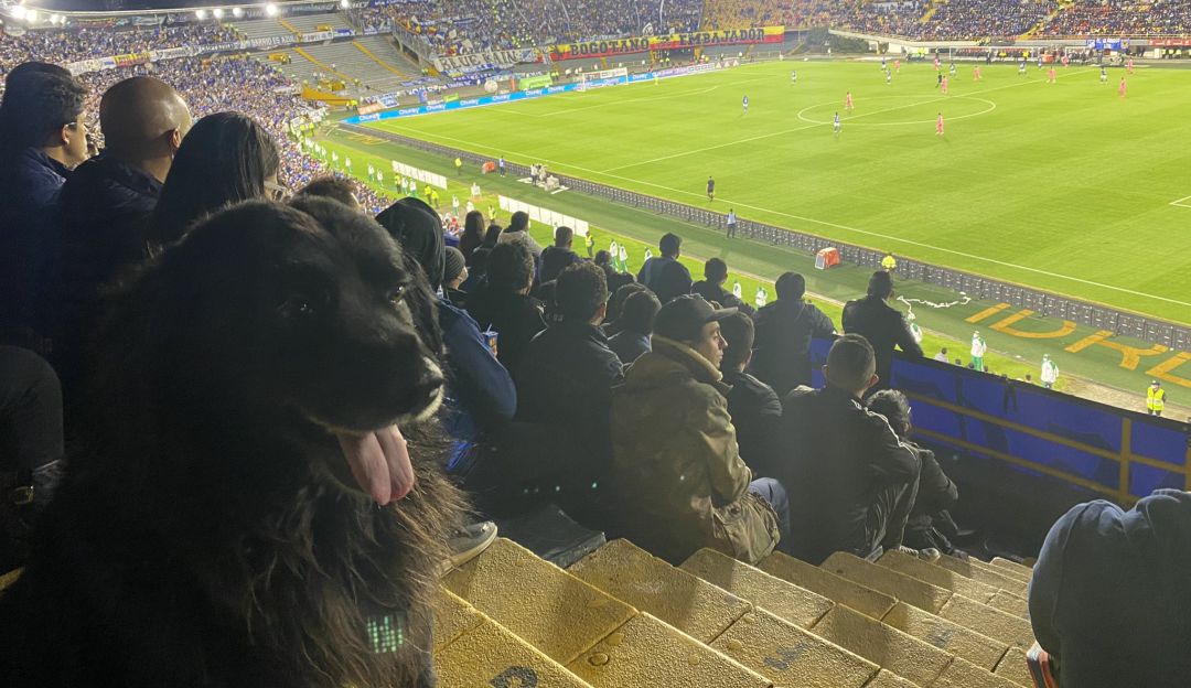 Millonarios 3-0 Alianza Petrolera en cuadrangulares del Finalización 2021 Millonarios 3-0 Alianza Petrolera en cuadrangulares del Finalización 2021