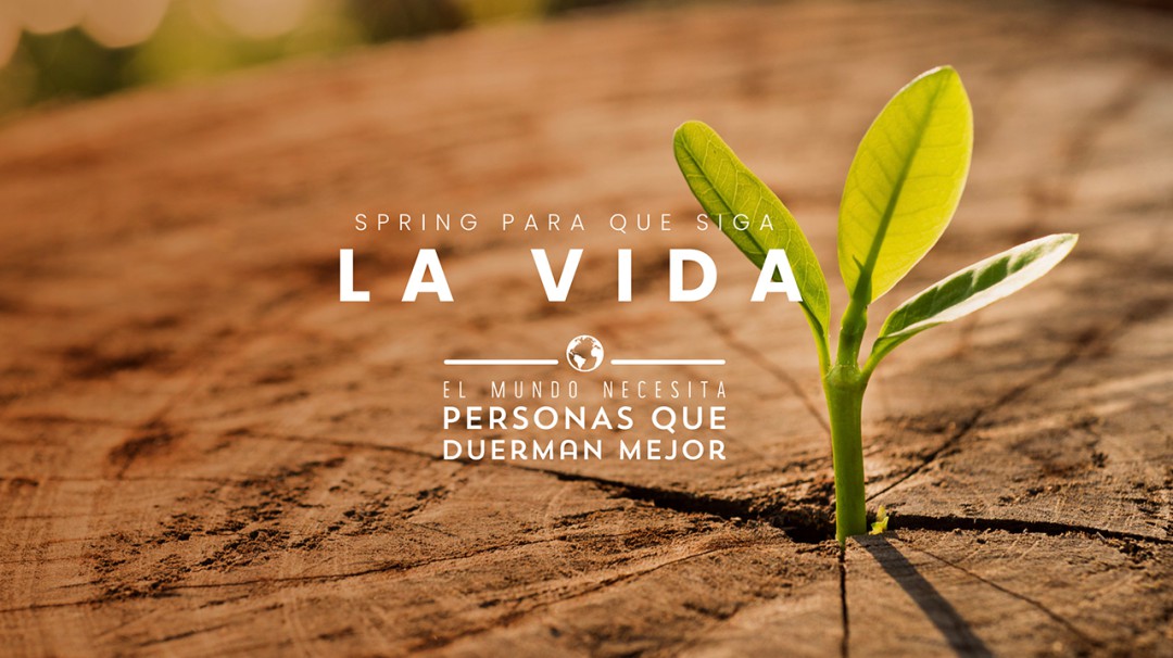 Colchones Spring, comprometido para mitigar el impacto en el medio ambiente