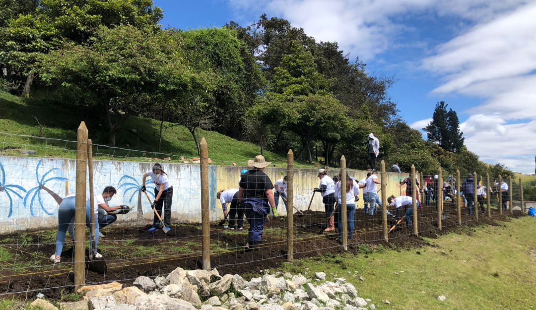 Huerta escolar en El Mochuelo, Ciudad Bolívar Huerta escolar en El Mochuelo, Ciudad Bolívar