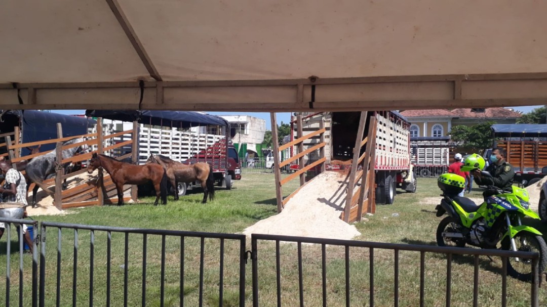 Distrito aprobó permisos para cabalgata en el centro histórico de Cartagena