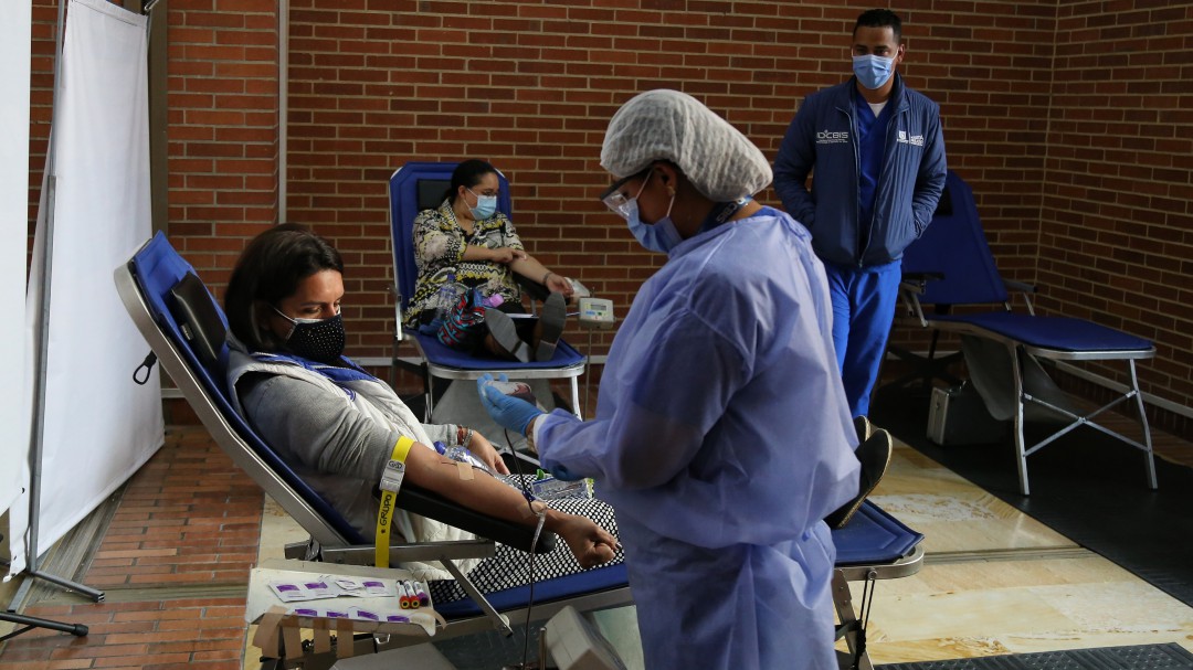 Cruz Roja alerta por reducción de un 25% en las donaciones de sangre