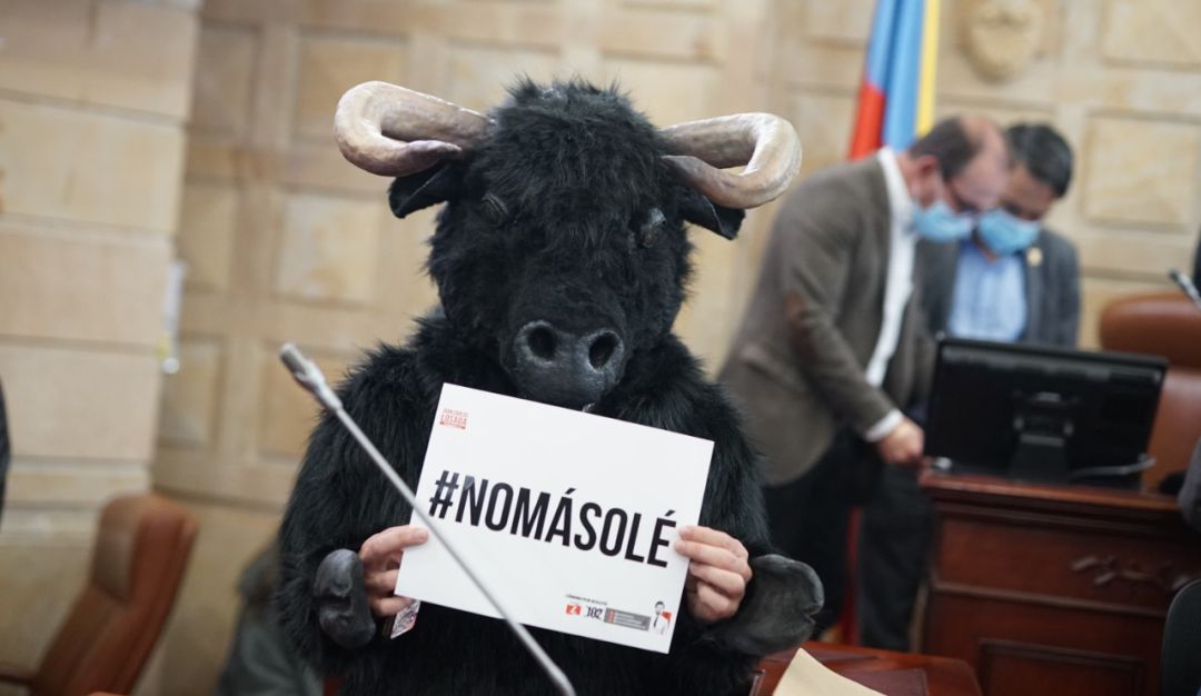El proyecto que prohibiría las corridas de toros en el país está a la espera de su segundo de cuatro debates requeridos para convertirse en ley El proyecto que prohibiría las corridas de toros en el país está a la espera de su segundo de cuatro debates requeridos para convertirse en ley
