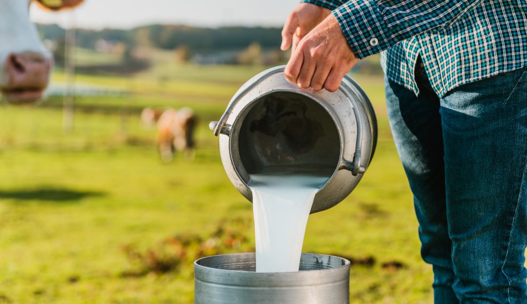 Producción de leche en Colombia cerca de una crisis Producción de leche en Colombia cerca de una crisis
