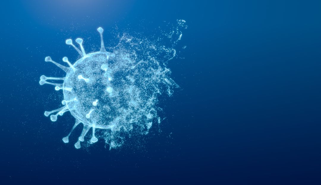 Respuesta inmunitaria del cuerpo al coronavirus tras recibir la vacuna y estar contagiado. Respuesta inmunitaria del cuerpo al coronavirus tras recibir la vacuna y estar contagiado.