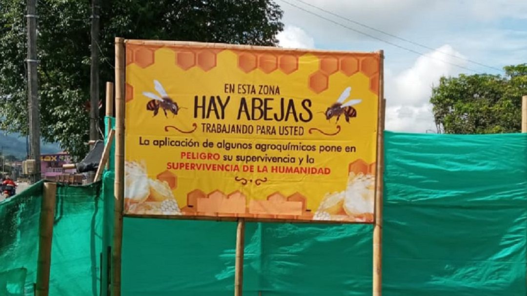 SOS Por la muerte masiva de abejas, presentan demanda contra el estado