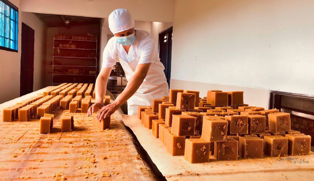 Las inversiones se direccionaron a reglones productivos como el de cacao, caña panela, ganadería, y arroz. Las inversiones se direccionaron a reglones productivos como el de cacao, caña panela, ganadería, y arroz.