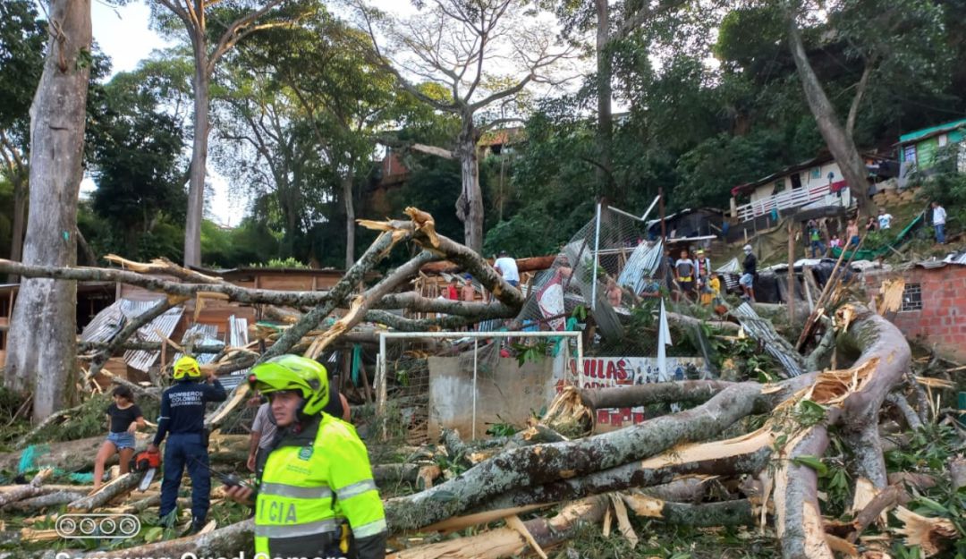Caída de árbol sobre carro Caída de árbol sobre carro