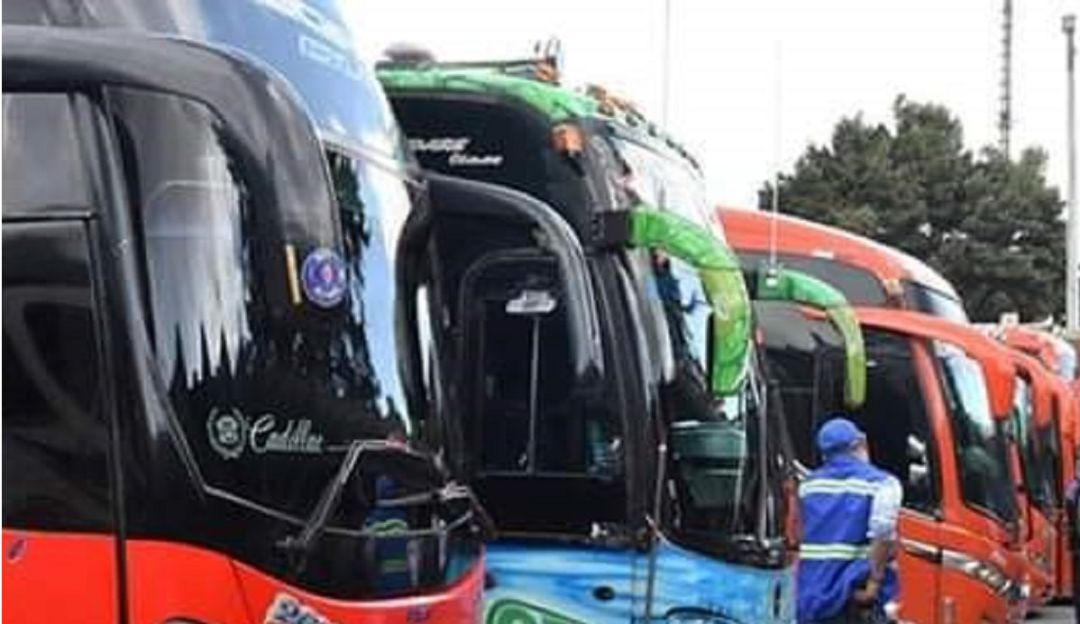 Buses intermunicipales Buses intermunicipales