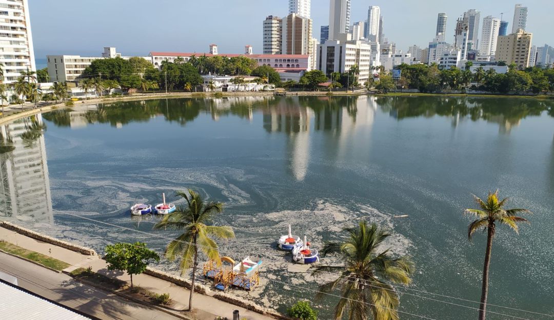 Los residentes piden acciones contra las edificaciones, las cuales botan toda clase de sustancias al lago por medio de las tuberías Los residentes piden acciones contra las edificaciones, las cuales botan toda clase de sustancias al lago por medio de las tuberías