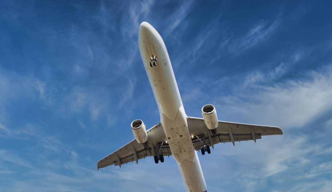 Aerolínea cancela más de 50 vuelos para los próximos días por Ómicron Aerolínea cancela más de 50 vuelos para los próximos días por Ómicron