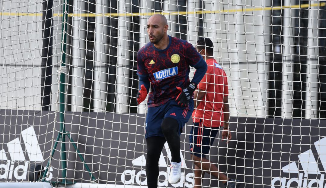 Diego Novoa Diego Novoa