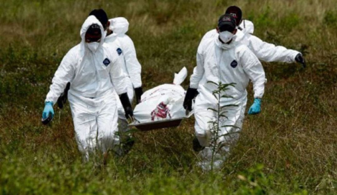 El cuerpo sin vida fue encontrado en el corredor del corregimiento de Santo Domingo, zona rural del municipio de San Pablo El cuerpo sin vida fue encontrado en el corredor del corregimiento de Santo Domingo, zona rural del municipio de San Pablo
