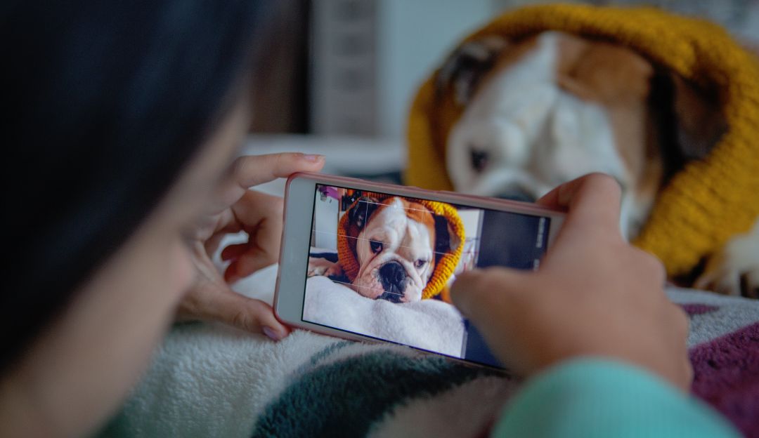 ¿Fotos con mala calidad? Con esta página arreglara sus fotos en minutos ¿Fotos con mala calidad? Con esta página arreglara sus fotos en minutos