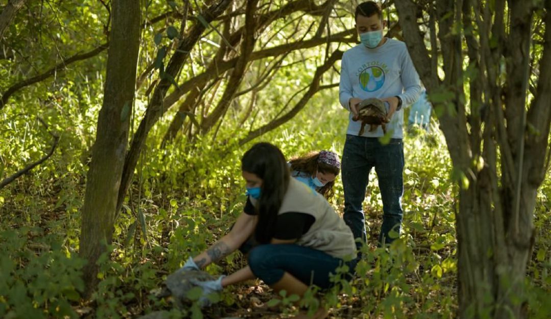 Fauna silvestre retornó a su hábitat Fauna silvestre retornó a su hábitat