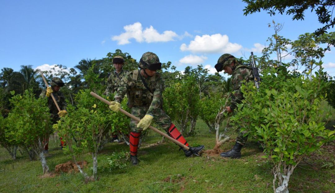 También fue hallada cerca de una tonelada de hoja de coca. También fue hallada cerca de una tonelada de hoja de coca.