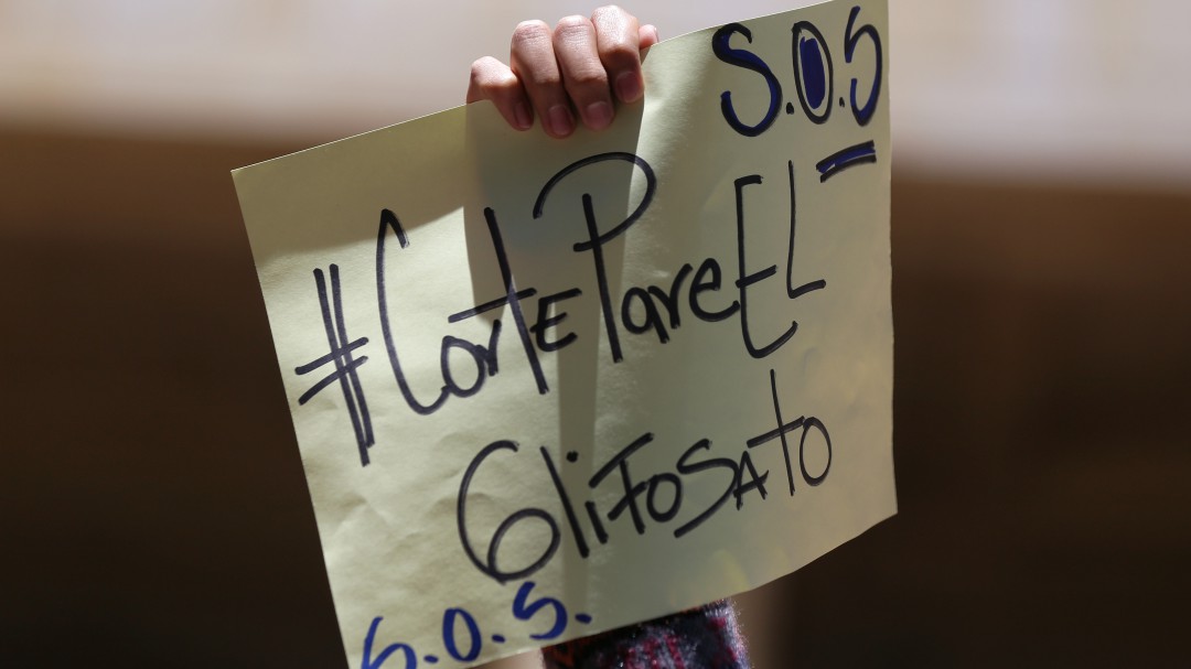 ¿Qué dicen en el Congreso a la Corte por tumbar la aspersión con glifosato?