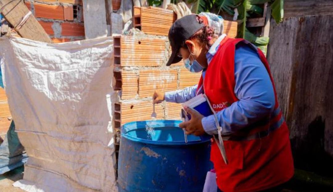 La autoridad sanitaria indicó que se mantendrán condiciones climáticas favorables para la proliferación de mosquitos transmisores La autoridad sanitaria indicó que se mantendrán condiciones climáticas favorables para la proliferación de mosquitos transmisores