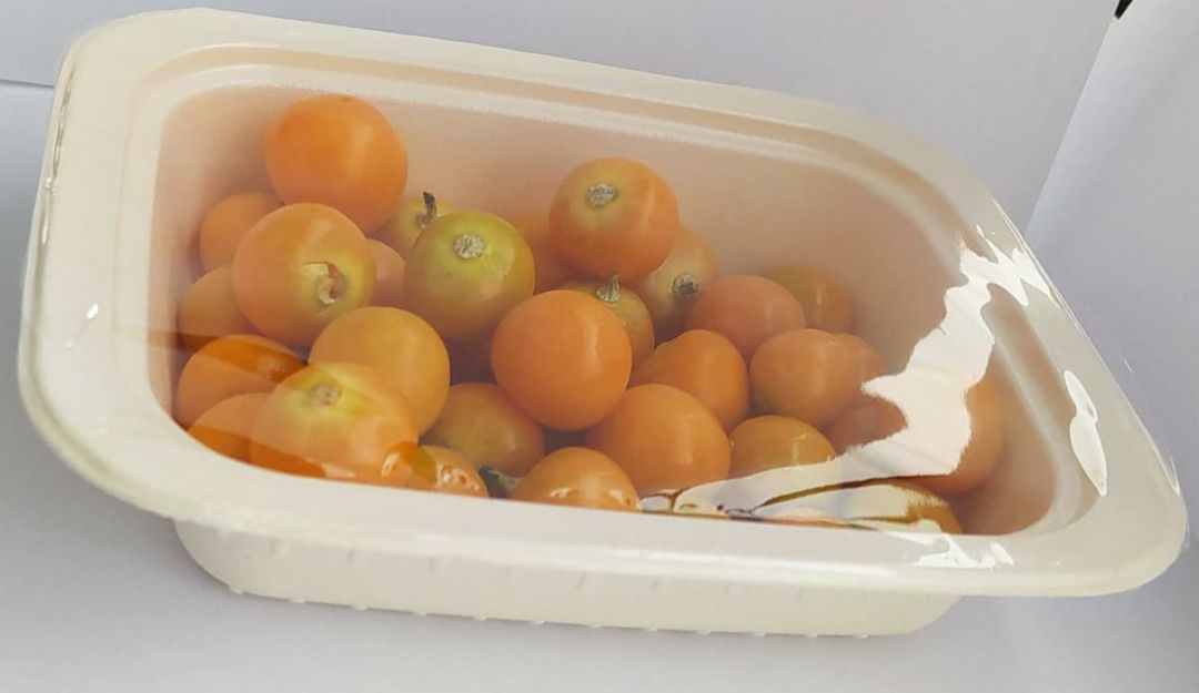 Empaque biodegradable para conservar más tiempo las frutas. Empaque biodegradable para conservar más tiempo las frutas.