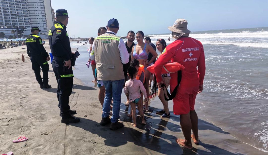 Para evitar resultar afectados por la picadura de este animal que abunda en estos días en algunos sectores de playas Para evitar resultar afectados por la picadura de este animal que abunda en estos días en algunos sectores de playas