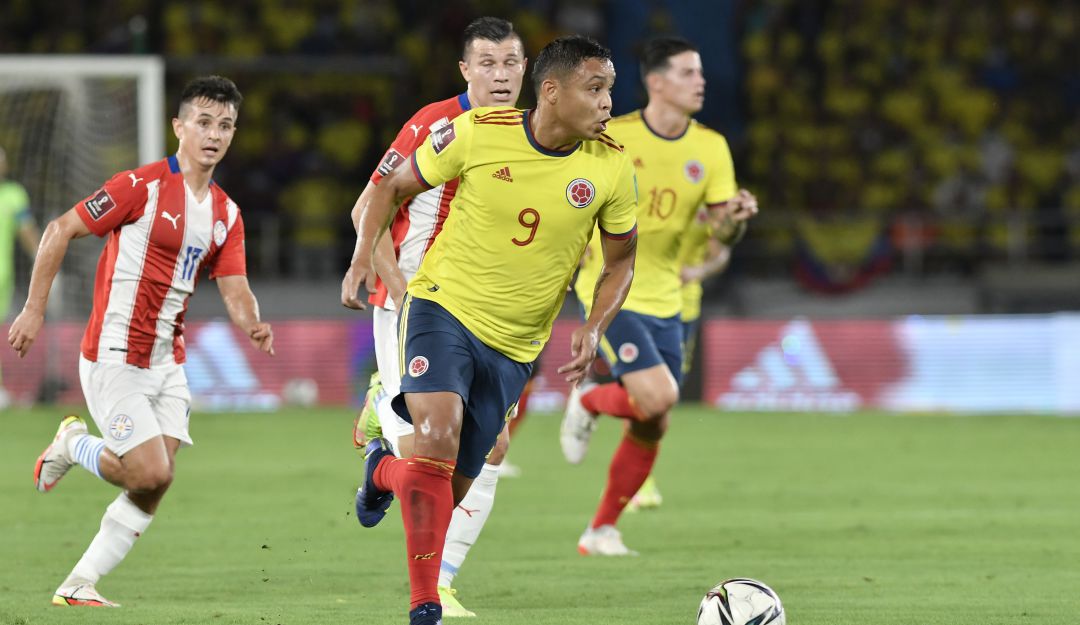 Luis Fernando Muriel Luis Fernando Muriel