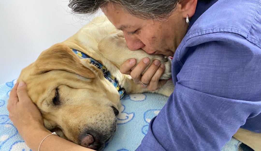 La alcaldesa de Bogotá, Claudia López, se despidió de su mascota a través de Twitter La alcaldesa de Bogotá, Claudia López, se despidió de su mascota a través de Twitter