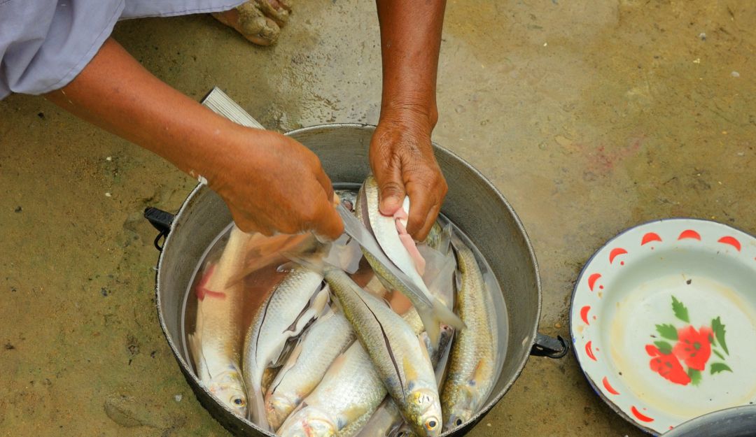 Mujer Wayuu preparando pescado en La Guajira. Imagen de referencia Mujer Wayuu preparando pescado en La Guajira. Imagen de referencia