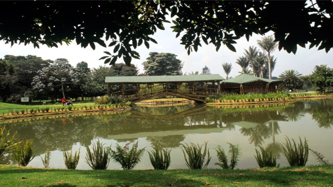 Actividades en el Jardín Botánico durante el mes de febrero