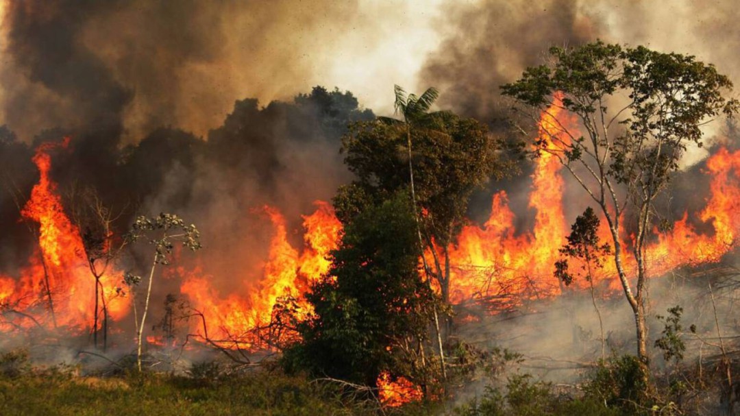 Tres incendios en Firavitoba afectaron 70 hectáreas de zona vegetal