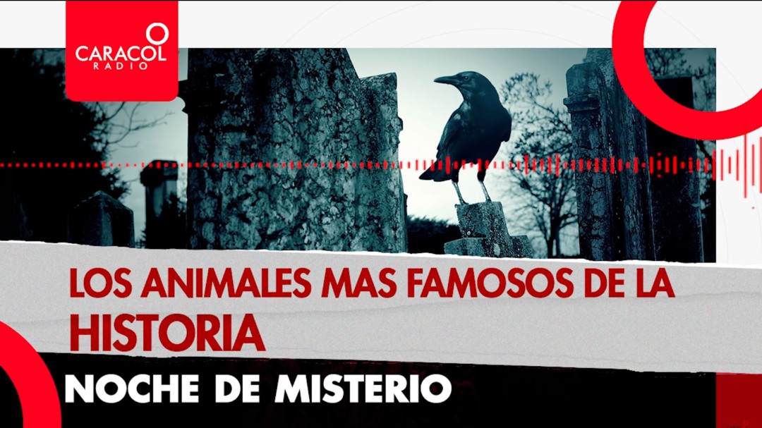 Los animales más famosos de la historia
