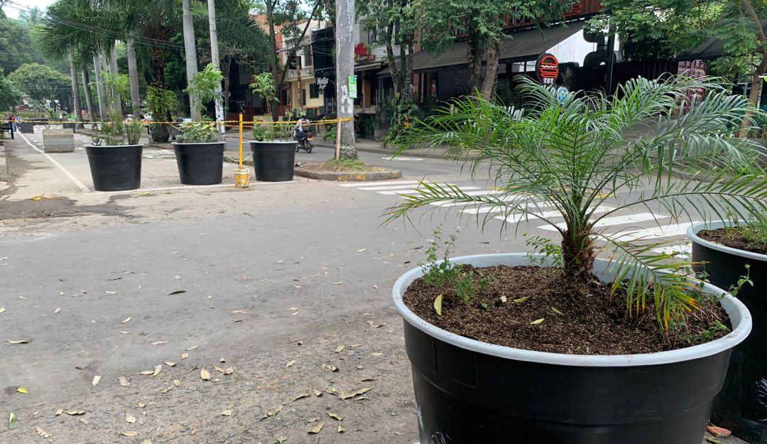 Instalación de materas en las vías aledañas al Parque del Perro Instalación de materas en las vías aledañas al Parque del Perro