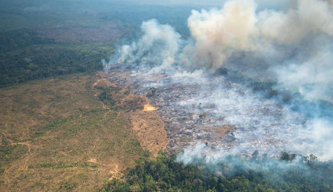 Incendios forestales en la Amazonía. Foto: Colprensa. Incendios forestales en la Amazonía. Foto: Colprensa.