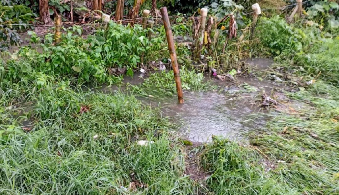 Problemas de alcantarillado Problemas de alcantarillado