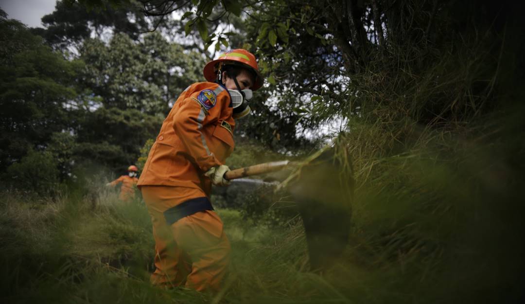 Control de incendios forestales. Foto: Colprensa. Control de incendios forestales. Foto: Colprensa.