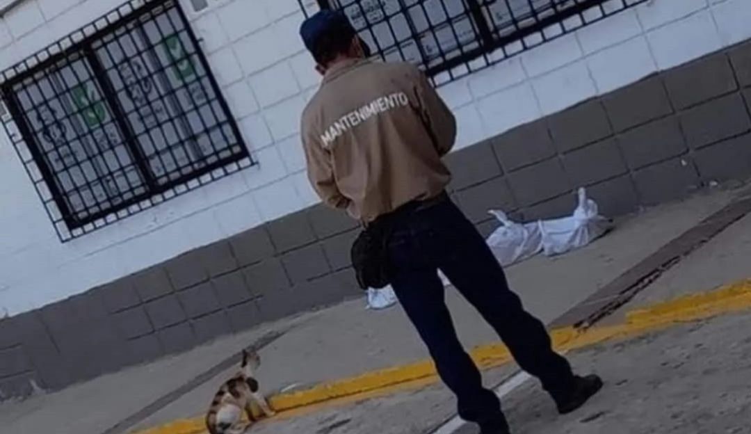 Momento de los hechos Momento de los hechos