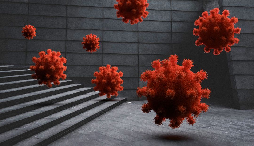 Coronavirus Coronavirus