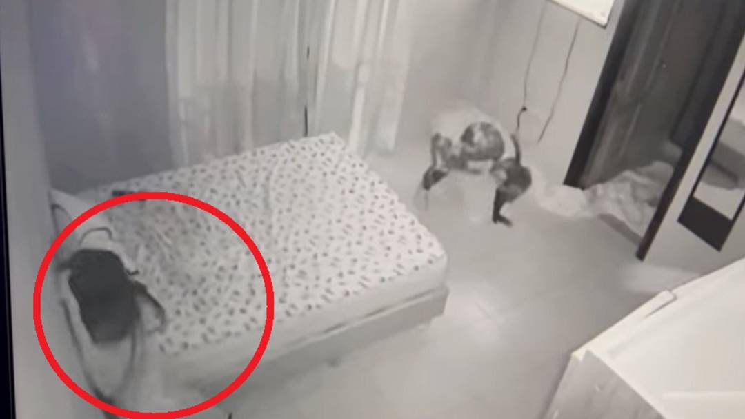 Influencer afirmó que perdió a su bebé por esta actividad paranormal