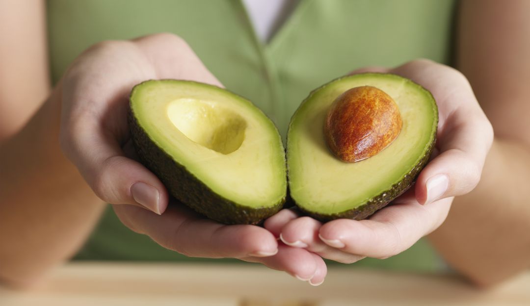 ¡Oro verde! Primer moneda digital basada en la producción del aguacate ¡Oro verde! Primer moneda digital basada en la producción del aguacate