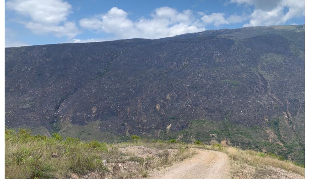 Controlan incendio forestal. Controlan incendio forestal.